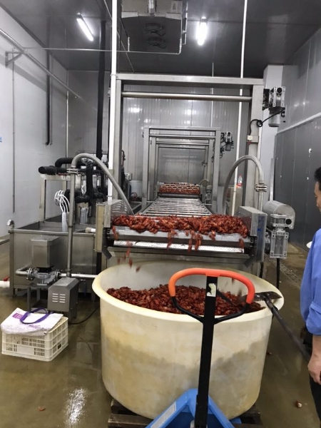 龍蝦清洗機