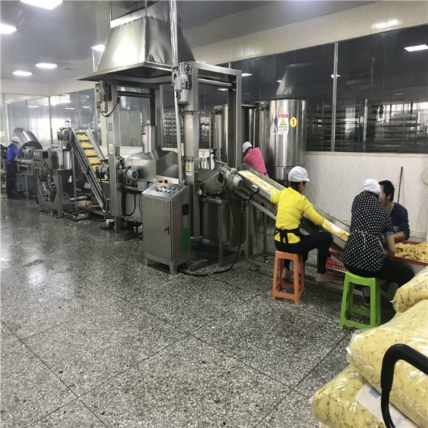 油皮腐竹油炸機