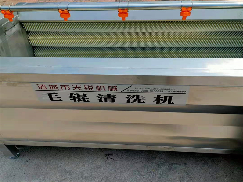 毛輥清洗設備