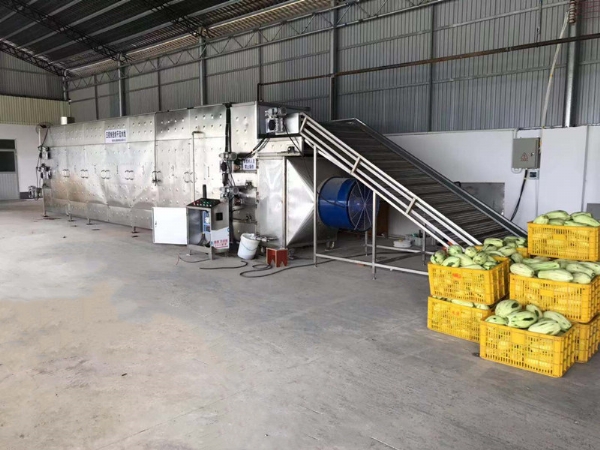 木瓜五層烘干流水線(xiàn)