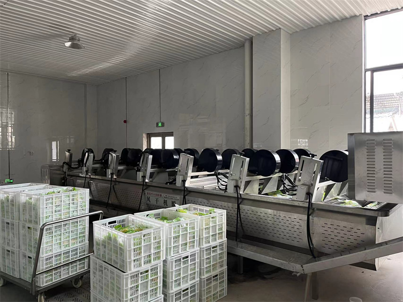 泡椒竹筍巴氏滅菌、冷卻、風干流水線