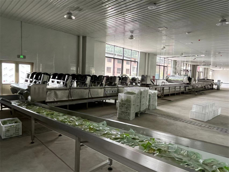 泡椒竹筍巴氏滅菌、冷卻、風(fēng)干流水線