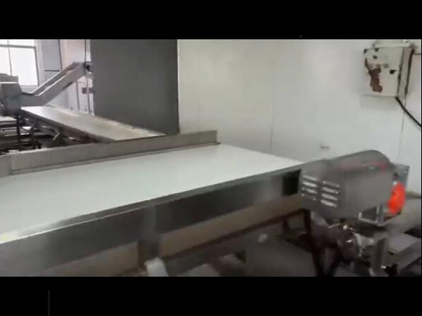 雞鴨副產(chǎn)品（魚(yú)類(lèi)、海產(chǎn)等）解凍清洗蒸煮流水線