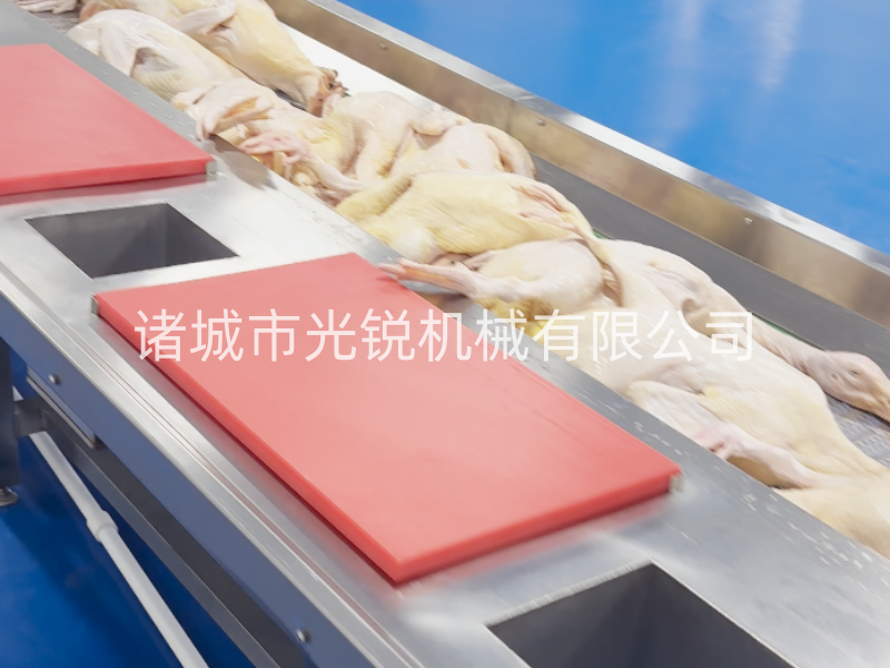 凍鴨加工不用愁!一站式解凍清洗分割流水線,效率翻倍!