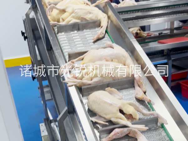 凍鴨加工不用愁!一站式解凍清洗分割流水線,效率翻倍!